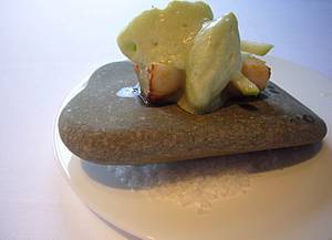 Scallop on a stone - at Launceston Place
