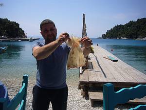 Squid fresh from the squidbox at Pavlos Fish Taverna